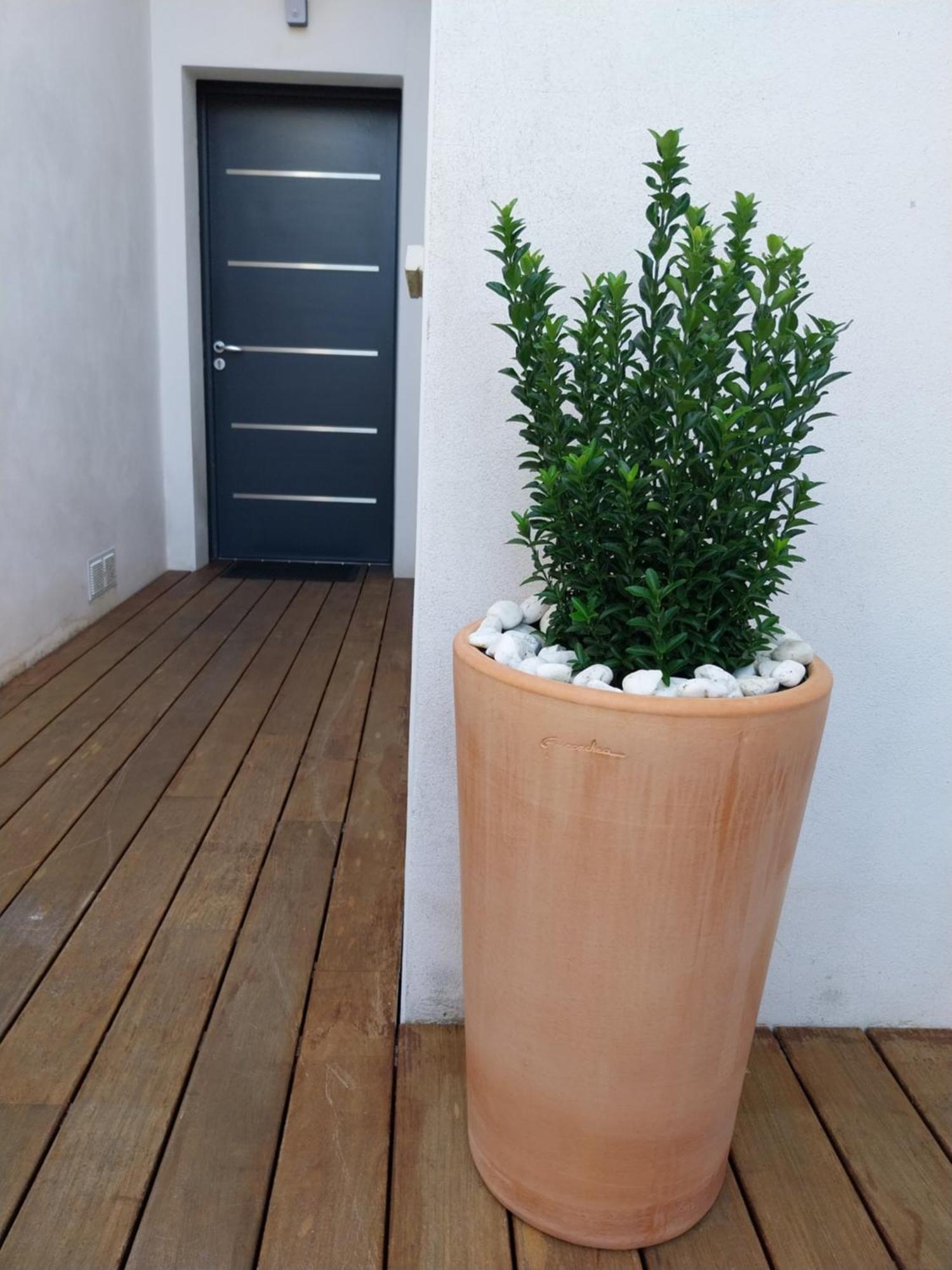 Studio Cocon Enea Bidart, Terrasse Et Parking Ngoại thất bức ảnh